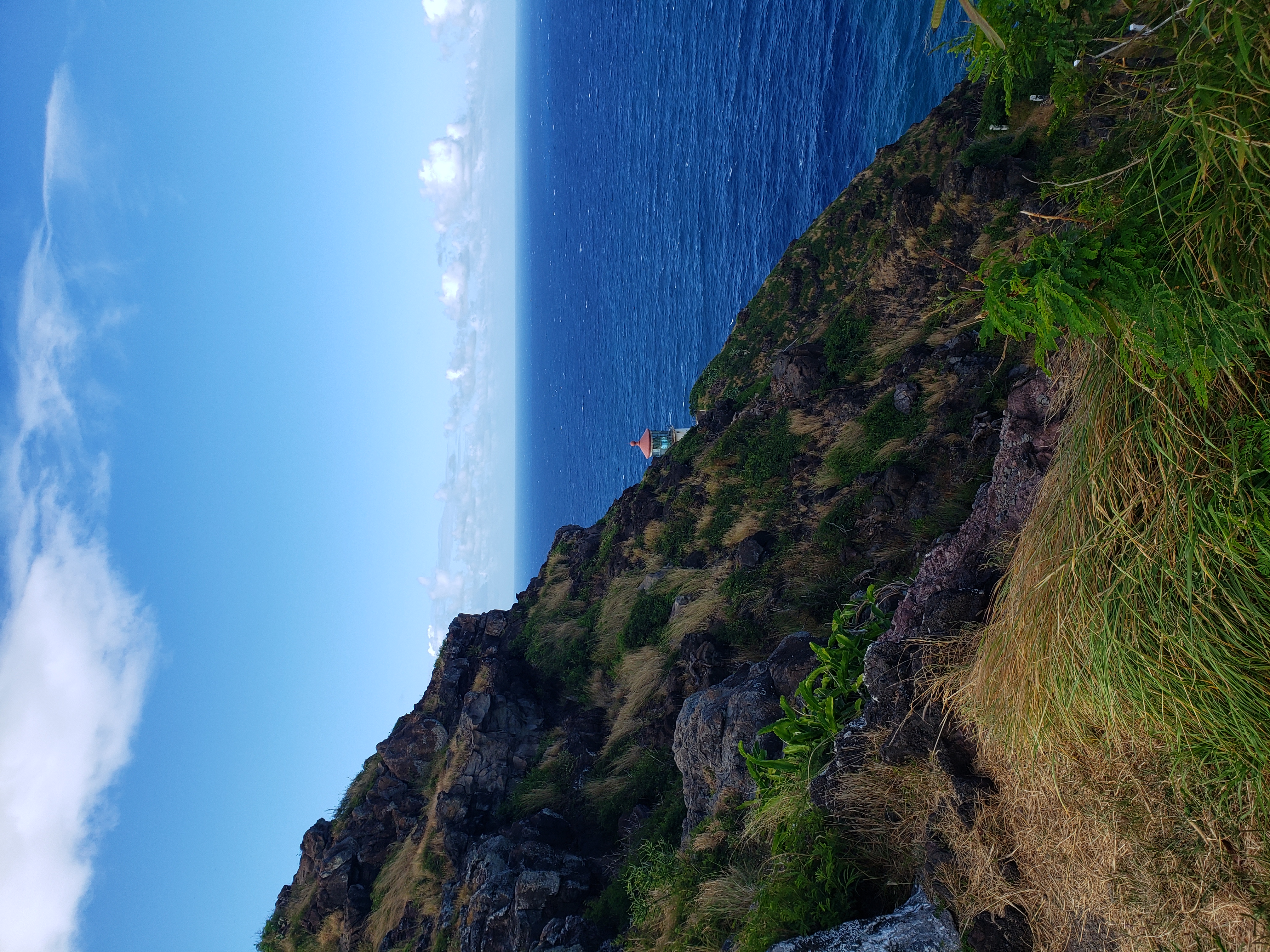 20260524_164135.jpg