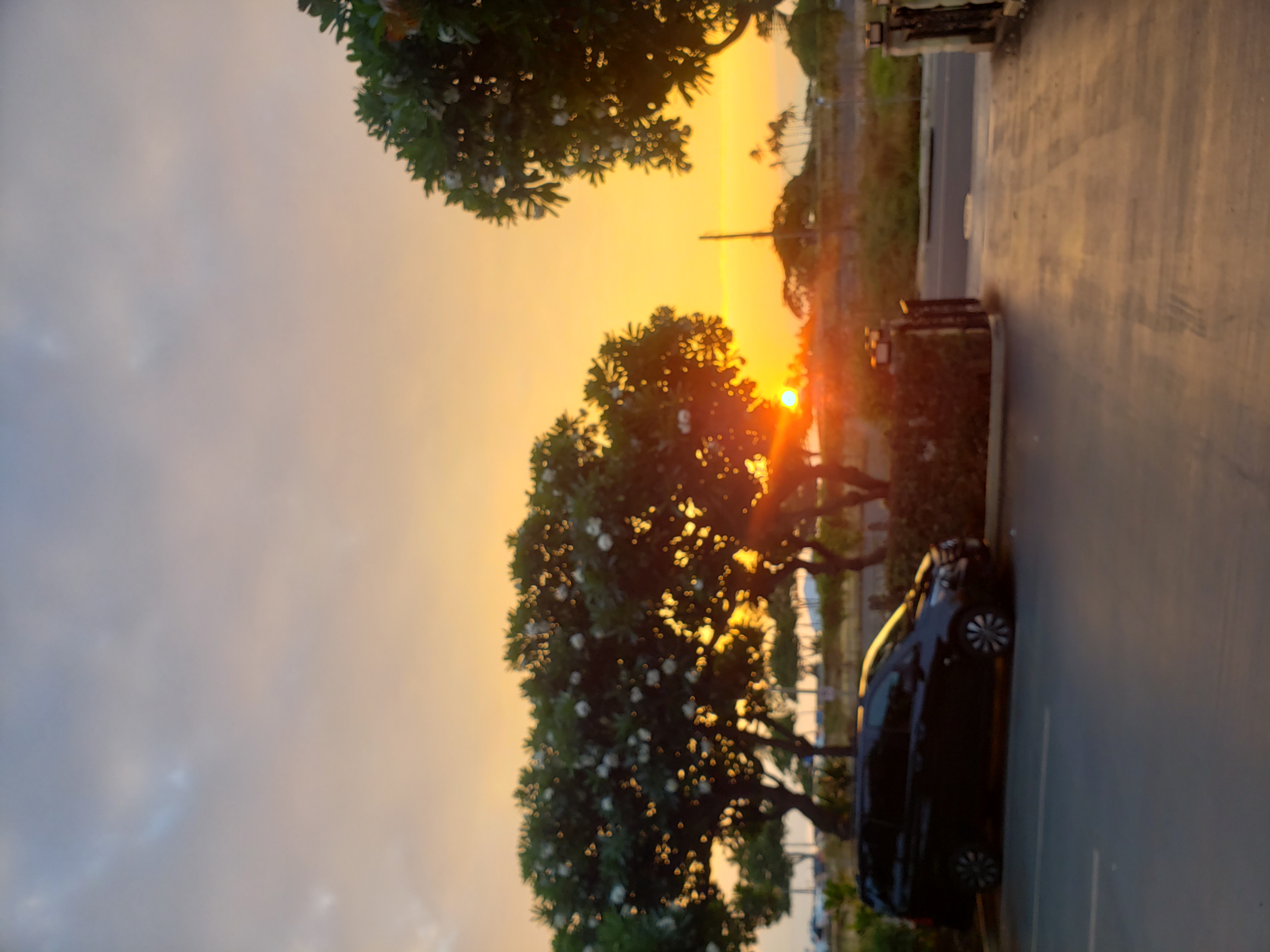20260617_190124.jpg